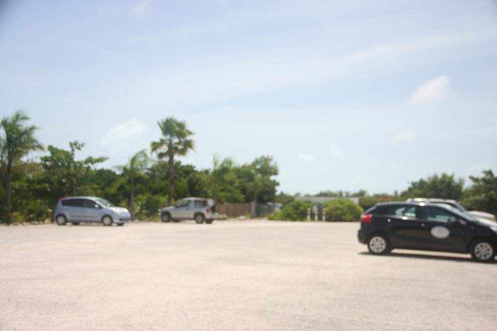 Carib Club Daire Grace Bay Dış mekan fotoğraf